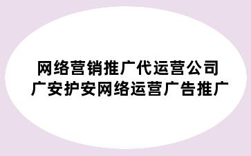 网络营销推广代运营公司 广安护安网络运营广告推广